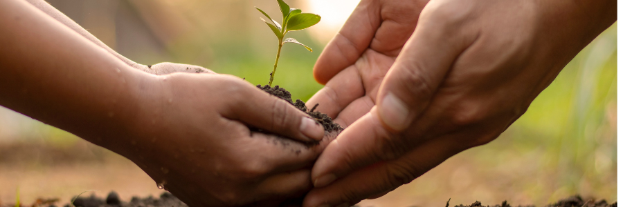 Environmental Studies for USDA Loans